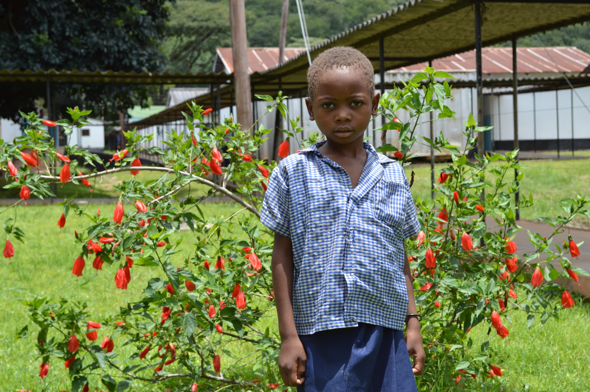 A student standing in a school garden